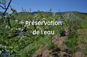 Préservation de l'eau Terra Isara