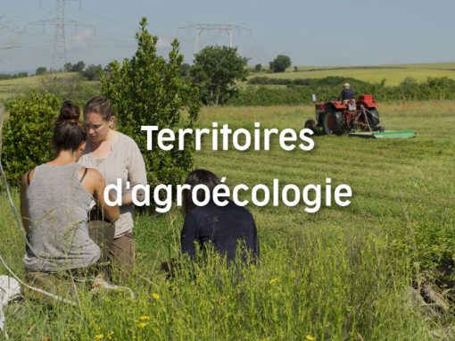 TERRAE ou la dynamique de territoire