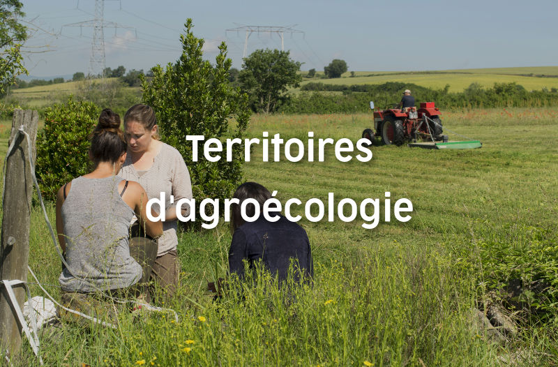 TERRAE ou la dynamique de territoire