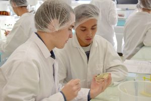 Étudiants laboratoire microbiologie