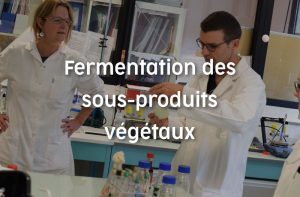 Fermentation des sous-produits végétaux