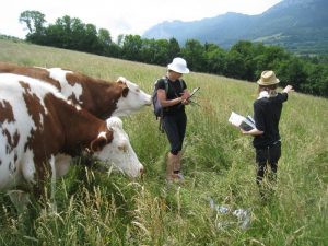 Recherche appliquée agroécologie