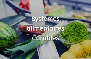 Systèmes alimentaires durables