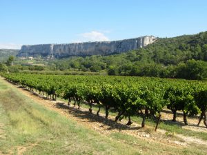 Vignoble Luberon