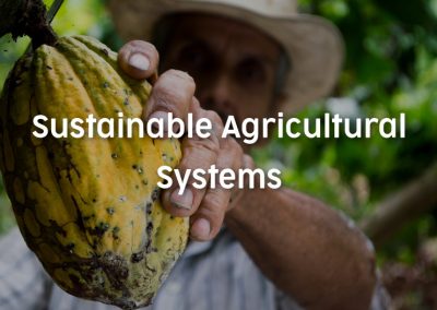Sustainable agricultural systems