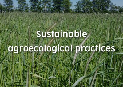 Sustainable agroecological practices