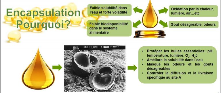 FABio-Nanocap : Films Antimicrobiens Biodégradables à base de Nanocapsules pour la Biopréservation des Aliments