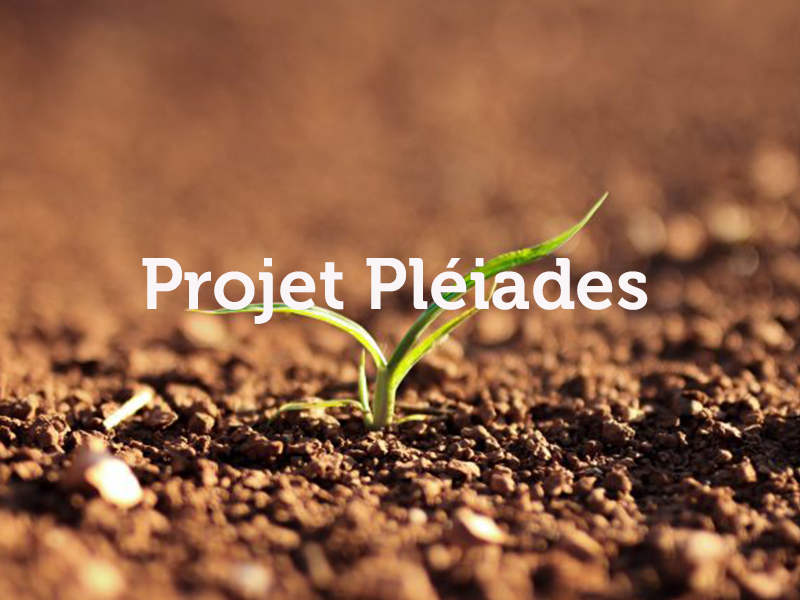 projet Pleiades